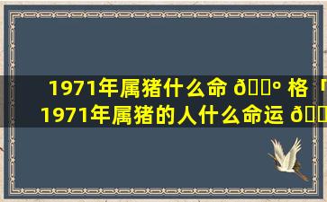 1971年属猪什么命 🌺 格「1971年属猪的人什么命运 🕸 」